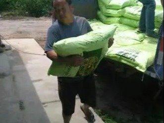 专业人工搬运服务 安全高效，全面保障